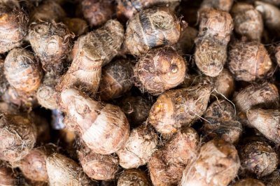 ​买芋头时，挑大的好还是小的好？菜农教您正确方法，别再买错了