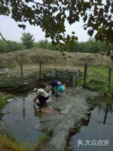 ​博山周边自驾游景点