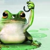 为什么青蛙和蟾蜍长得像(你知道青蛙与蟾蜍的区别吗)(2)