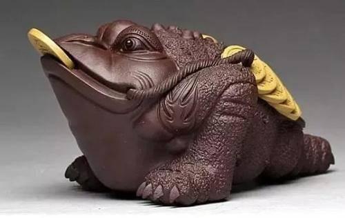 为什么青蛙和蟾蜍长得像(你知道青蛙与蟾蜍的区别吗)(4)