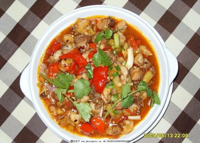 为什么青蛙和蟾蜍长得像(你知道青蛙与蟾蜍的区别吗)(6)