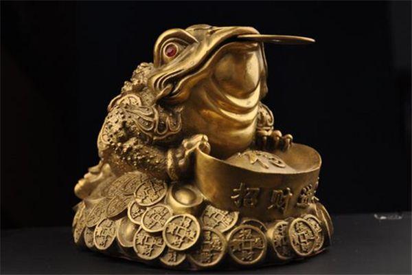 为什么青蛙和蟾蜍长得像(你知道青蛙与蟾蜍的区别吗)(5)