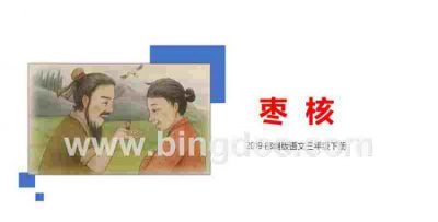 ​什么的枣核什么地走了,枣核一文中作者重点写了枣核什么的事