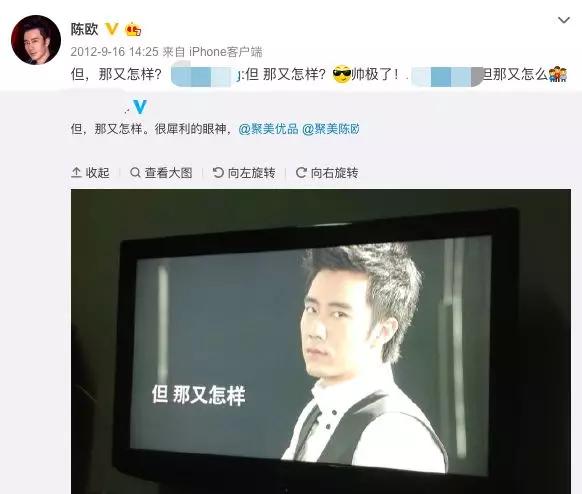 聚美优品陈欧的资料 把聚美优品打败了(12)