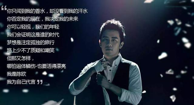 聚美优品陈欧的资料 把聚美优品打败了(2)