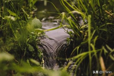 ​静静聆听大自然的旋律（自然乐章在奏响）