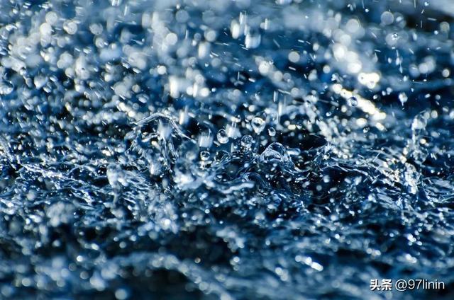 静静聆听大自然的旋律(自然乐章在奏响)(13)