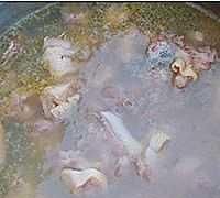 鲍鱼主要吃什么部位,鲍鱼身上绿的是什么?图24