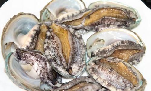 鲍鱼哪些部位千万不能吃