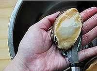 鲍鱼主要吃什么部位,鲍鱼身上绿的是什么?图28