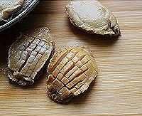 鲍鱼主要吃什么部位,鲍鱼身上绿的是什么?图30