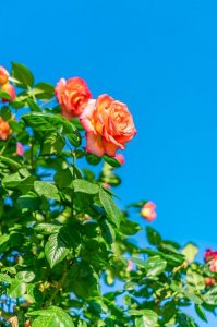 ​超实用的11个生活小窍门（23个生活小窍门简单又给力）