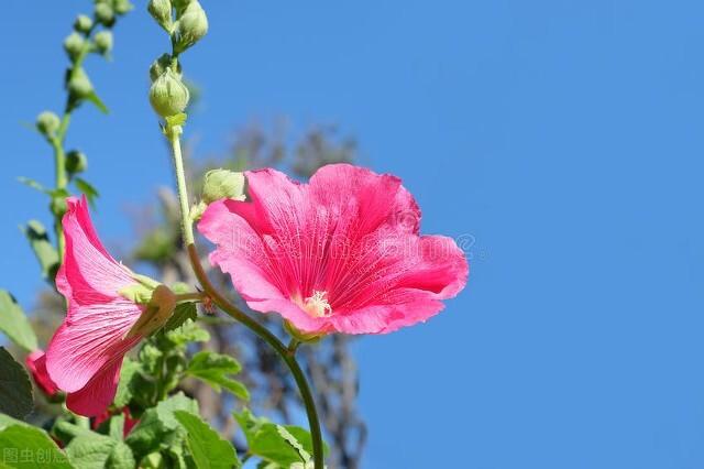 超实用的11个生活小窍门(23个生活小窍门简单又给力)(3)