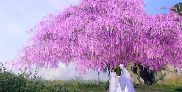 三生三世枕上书评价,为什么《三生三世枕上书》会造成口碑两极化图3