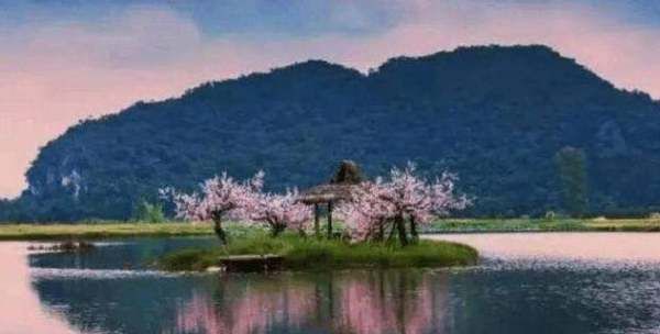 三生三世枕上书评价,为什么《三生三世枕上书》会造成口碑两极化图7