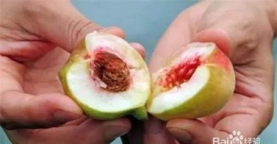 ​桃子中间核发霉能吃么,桃子外面好里面核发霉了能吃吗