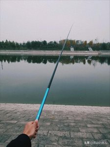 ​钓鱼老手都懂！19 、28 、37 、46 调鱼竿怎么选？看完秒变钓鱼高手！