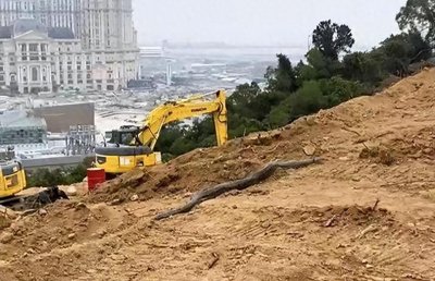 ​75岁老人讲述贵州一工地发现巨蟒八米长100多斤！蛇到底能长多大