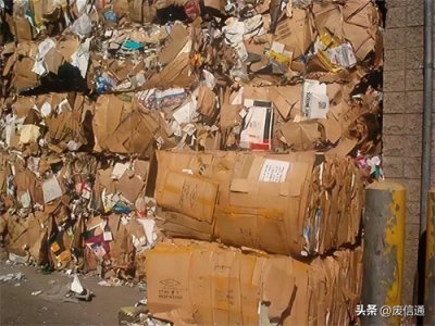 ​2024年1月3日国内废纸最新价格行情参考