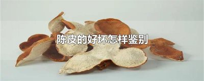 ​陈皮的好坏怎样鉴别