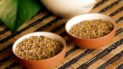 ​苦荞是什么东西