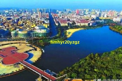 ​一个流浪猫跟着我送我回家好不好(怎么把流浪狗引回家)