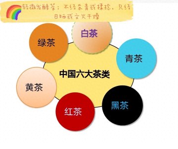 ​什么是福鼎白茶？