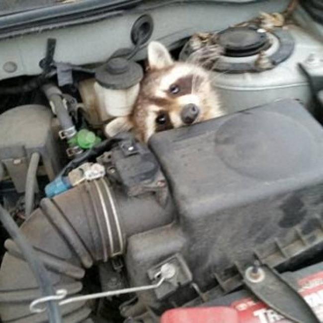 老板你听我解释:10个上班迟到的绝佳理由