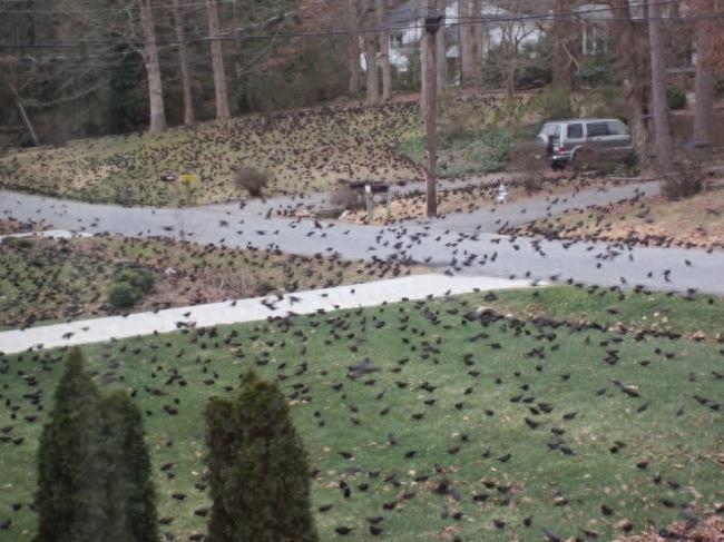 老板你听我解释:10个上班迟到的绝佳理由