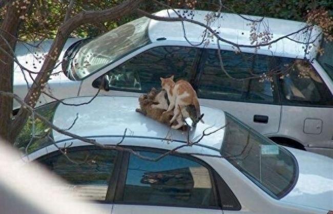 老板你听我解释:10个上班迟到的绝佳理由