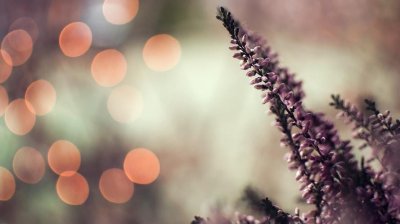 ​人这一生，活着到底为了什么？（值得收藏）