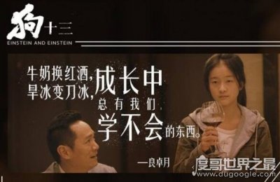 ​狗十三邀为什么被禁，这部被禁五年的青春片真实而又残酷