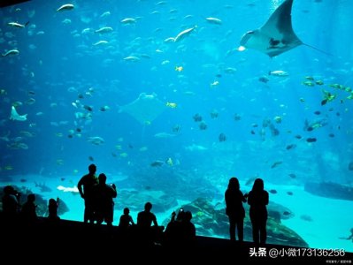 ​成都极地海洋公园游玩攻略