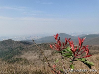 ​“偷得浮生半日闲”?意思是说休息了半天吗？