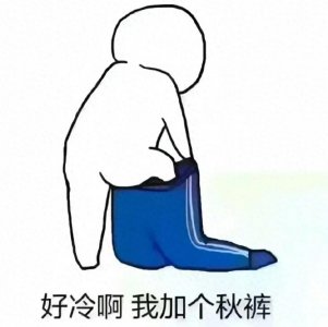 ​30张天冷了必备的表情包