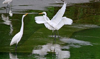 ​最精彩的8首元曲小令，这些元曲可以和经典的唐诗、宋词相媲美