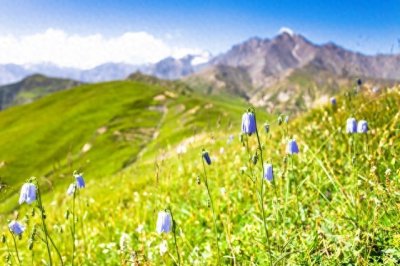 ​男人为什么拉黑你的联系方式！