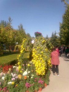 ​(以震惊体开头) 你信吗 ？