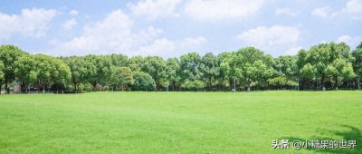 ​黑龙江二本排名及分数线一览表（2024黑龙江最好的公办二本大学）