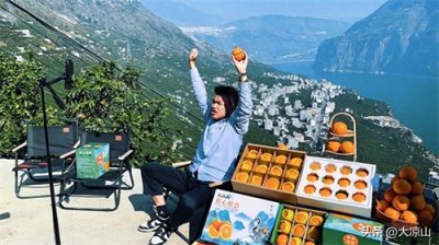 ​雷波脐橙甜蜜开园