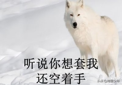 ​商业运作中的高级玩法——空手套白狼