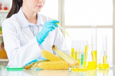 ​转基因食品真的安全吗？