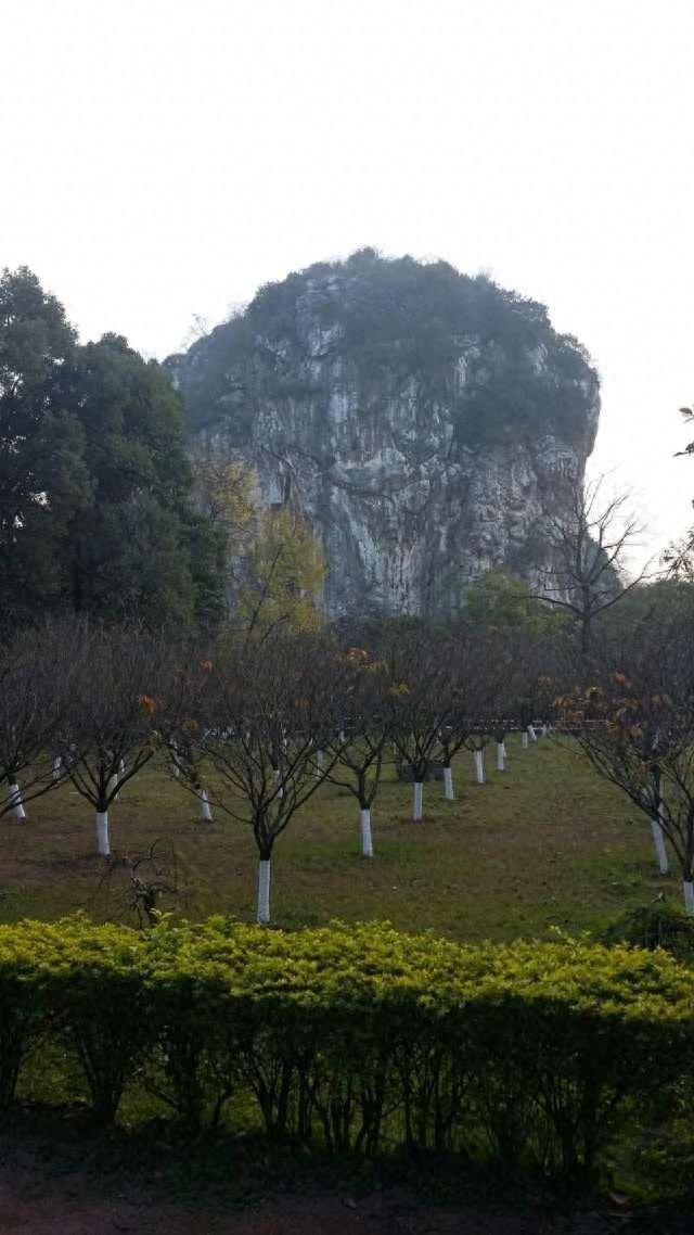 马坝人遗址：岭南地区最早发现有原始人居住痕迹的地方
