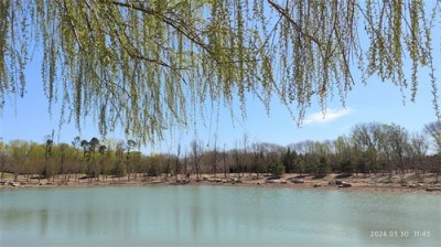 ​春游永定河休闲森林公园