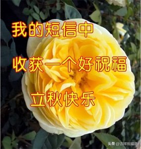 ​立秋精选早上好表情包，一丝牵挂，一份友情，愿你一生平安