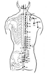 ​腰背部常用穴位位置和主治疾病