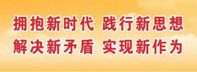 ​「涨知识」新能源汽车专用号牌式样