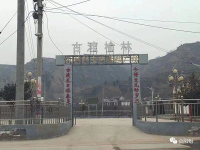 ​郃阳魁之王翰林