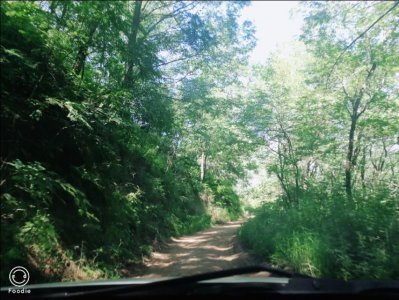 ​一直想上宝鸡鸡峰山，因正在修建暂未开放，在水库转转也不错