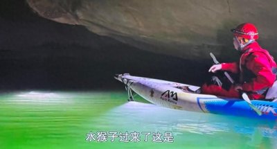 ​火遍全网的“水猴子”到底是啥？无穷小亮决定亲自下海捉活的